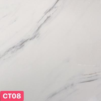 Tấm ốp tường nhựa CT08